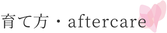 育て方・aftercare